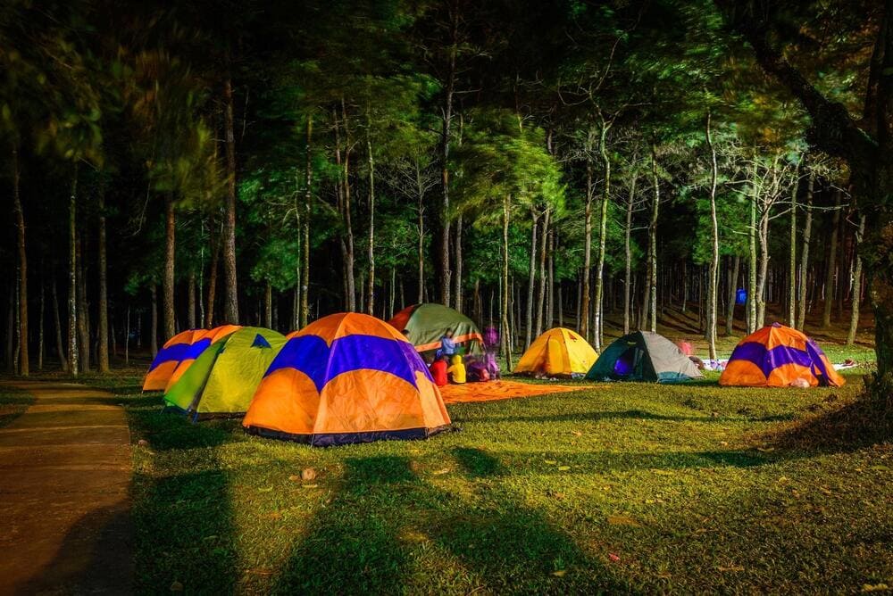 Du khách cũng có thể trải nghiệm cắm trại qua đêm trong Vườn Quốc gia Ba Vì (Nguồn: Vườn Quốc gia Ba Vì)